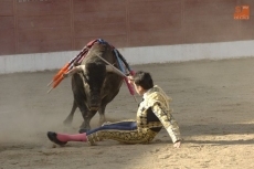 Foto 6 - Ledesma, a hombros