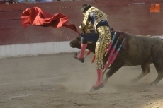 Foto 5 - Ledesma, a hombros