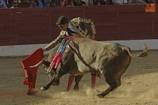 Foto 4 - Ledesma, a hombros