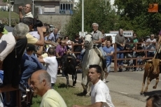 Foto 6 - Los eventos taurinos monopolizan la jornada del domingo