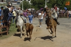 Foto 3 - Los eventos taurinos monopolizan la jornada del domingo