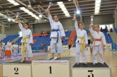 Foto 6 - Ariadna y Paula Serradilla se proclaman campeonas regionales