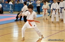 Foto 3 - Ariadna y Paula Serradilla se proclaman campeonas regionales