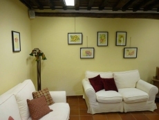 Foto 5 - Una exposición ‘de Sierra a Sierra’