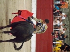 Foto 5 - Alejandro Marcos y su torer&iacute;a