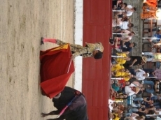 Foto 4 - Alejandro Marcos y su torer&iacute;a