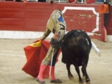 Foto 3 - Alejandro Marcos y su torer&iacute;a