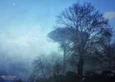 Foto 5 -  La Casa del Parque Batuecas acoge la exposición ‘Emotional Landscapes’ de Rosa Gómez