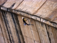 Foto 4 - Nuevos ejemplares de halcón peregrino habitan en la presa de Almendra gracias a una caja nido