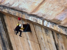 Foto 3 - Nuevos ejemplares de halcón peregrino habitan en la presa de Almendra gracias a una caja nido