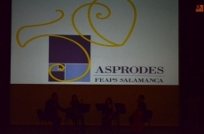 Foto 5 - La consejera de Familia destaca que 1.300 discapacitados encontraron trabajo en Castilla y Le&oacute;n en ...