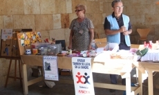 Foto 6 - Salamanca realiza una media de 90 trasplantes anuales de m&eacute;dula &oacute;sea con r&eacute;cord de supervivencia