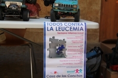 Foto 4 - Salamanca realiza una media de 90 trasplantes anuales de m&eacute;dula &oacute;sea con r&eacute;cord de supervivencia