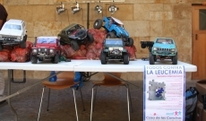 Foto 3 - Salamanca realiza una media de 90 trasplantes anuales de m&eacute;dula &oacute;sea con r&eacute;cord de supervivencia