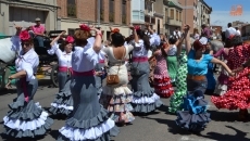 Foto 4 - Romeros, palmas y mucho arte para arropar a la Virgen del Rocío