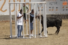 Foto 5 - El único encierro del fin de semana en la comarca transcurre rápido y sin incidentes