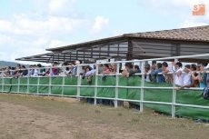 Los mirobrigenses respaldan un año más el Regional de Acoso y Derribo