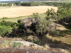 El Museo de la Falla recibe más de 600 visitas en sus primeros 7 meses de andadura 