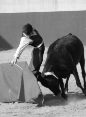 Guillermo Valencia prepara en el campo la novillada de La Fuente de San Esteban