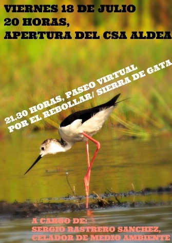 El Centro Social Aldea acoge el viernes una charla medioambiental | Imagen 1