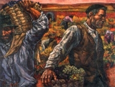 La vendimia.1975. Vela Zanetti