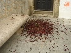 El Misterio del Montón de Cerezas / FOTO: Ana Vicente