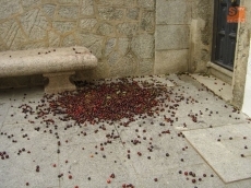 El Misterio del Montón de Cerezas / FOTO: Ana Vicente