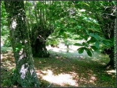 Foto 3 - Municipios de ‘Entresierras’ potencian su riqueza turística