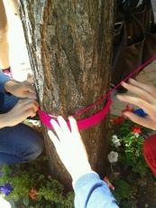 Foto 3 - Dos semanas intensas en la Asociaci&oacute;n de Vecinos del Barrio del Oeste