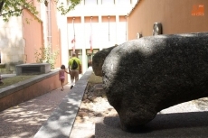 Foto 6 - El Museo de Salamanca organiza visitas guiadas gratuitas sobre la historia de la ciudad