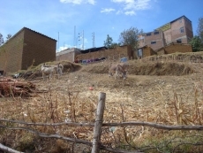 Foto 4 - De Salamanca a Huaraz, un viaje hacia la solidaridad con la infancia en los Andes