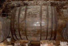 Foto 6 - Las bodegas de Cantalpino, vestigios de una industria vitivinícola floreciente