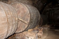 Foto 5 - Las bodegas de Cantalpino, vestigios de una industria vitivinícola floreciente