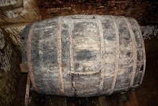 Foto 3 - Las bodegas de Cantalpino, vestigios de una industria vitivinícola floreciente