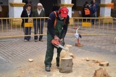 Foto 6 - La lluvia altera el bloque matinal de La Charrada