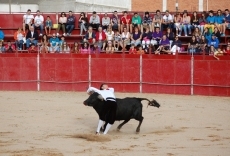 Foto 6 - El mirobrigense Manuel Gómez se adjudica el concurso de cortes de Cigales