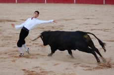 Foto 5 - El mirobrigense Manuel Gómez se adjudica el concurso de cortes de Cigales
