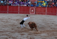 Foto 3 - El mirobrigense Manuel Gómez se adjudica el concurso de cortes de Cigales