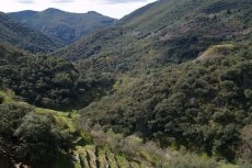 Foto 5 - Senderos del Alagón: lagares, miradores y camino de los trasiegos