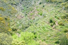 Foto 4 - Senderos del Alagón: lagares, miradores y camino de los trasiegos