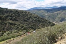 Foto 3 - Senderos del Alagón: lagares, miradores y camino de los trasiegos