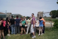 Foto 6 - Acci&oacute;n Verapaz promueve la compra de 15 mulas para Hait&iacute;