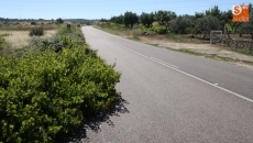 Foto 6 - La Ayuntamiento critica la falta de mantenimiento de la carretera Villarino-Trabanca