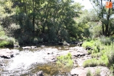 Foto 6 - Los voluntarios del Inice limpian de arbustos las zonas de uso público en Ambasaguas