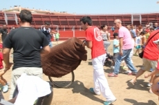 Foto 5 - Los 'sanfermines' toman las calles de Santa Marta
