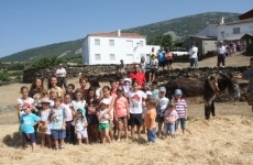 Foto 4 - Rescatada en el tiempo la antigua forma de trillar