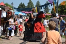 Foto 6 - Un corcel muy rebelde