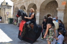 Foto 4 - Un corcel muy rebelde