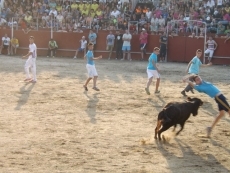 Foto 5 - La capea de vaquilas dan continuidad a las fiestas