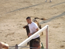 Foto 4 - La capea de vaquilas dan continuidad a las fiestas